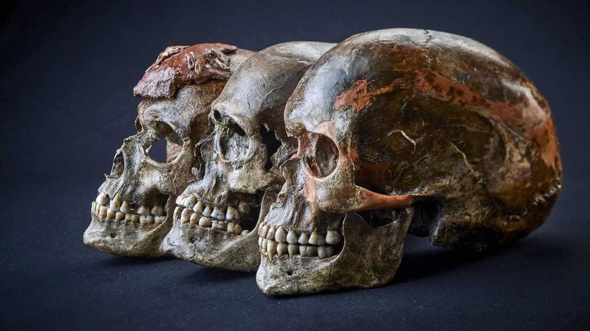 Genetická stopa lovců mamutů před 20 000 lety zmizela